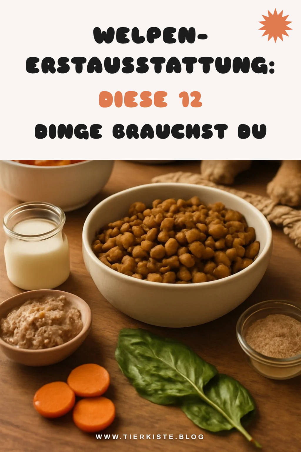 Welpen-Erstausstattung: Diese 12 Dinge brauchst du wirklich — Hund Welpen-Erstausstattung