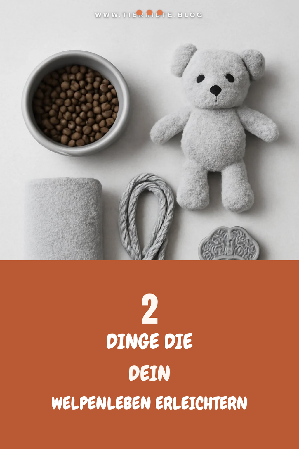 Diese 6 Must-Haves für deinen Welpen sind unverzichtbar