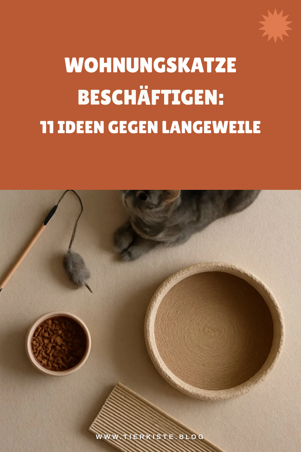 Wohnungskatze beschäftigen: 11 Ideen gegen Langeweile