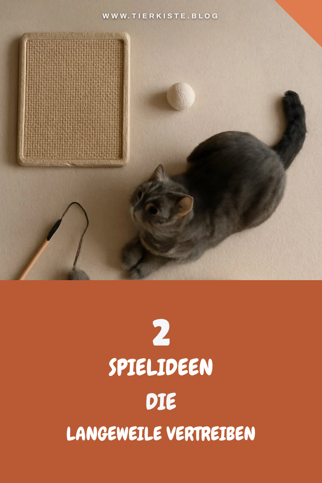 Diese 2 Picks lohnen sich extra