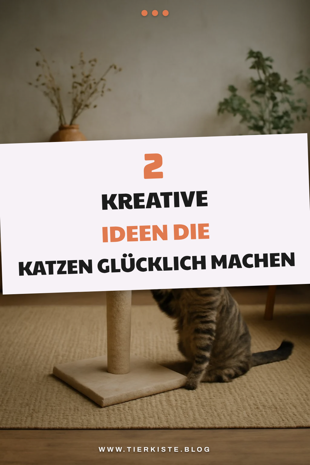 Mehr Empfehlungen aus dieser Kategorie