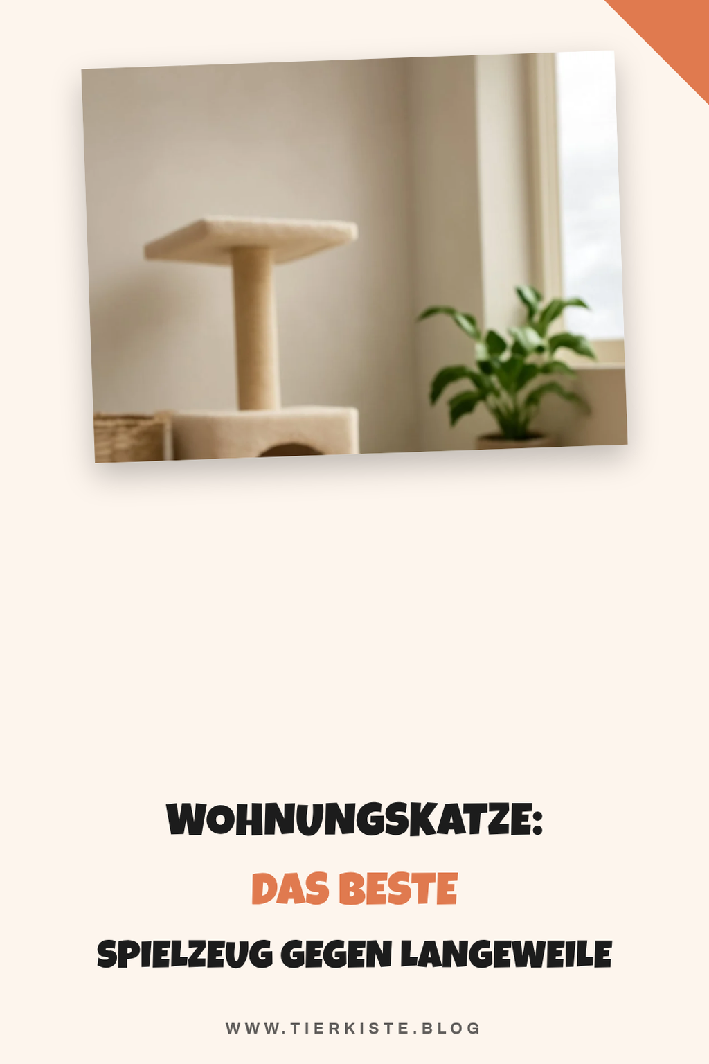 Wohnungskatze: Das beste Spielzeug gegen Langeweile im Test — Wohnungskatze: Spielzeug gegen