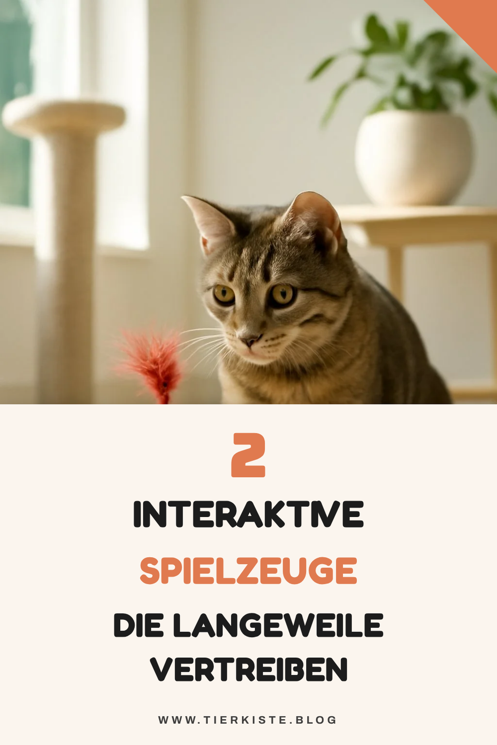 Diese 5 interaktiven Spielzeuge halten deine Katze aktiv