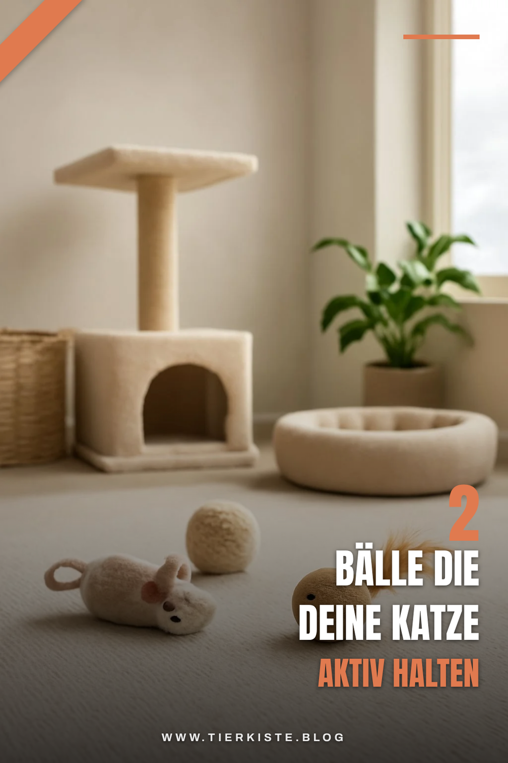 Diese 4 Bälle sorgen für Action und Spaß