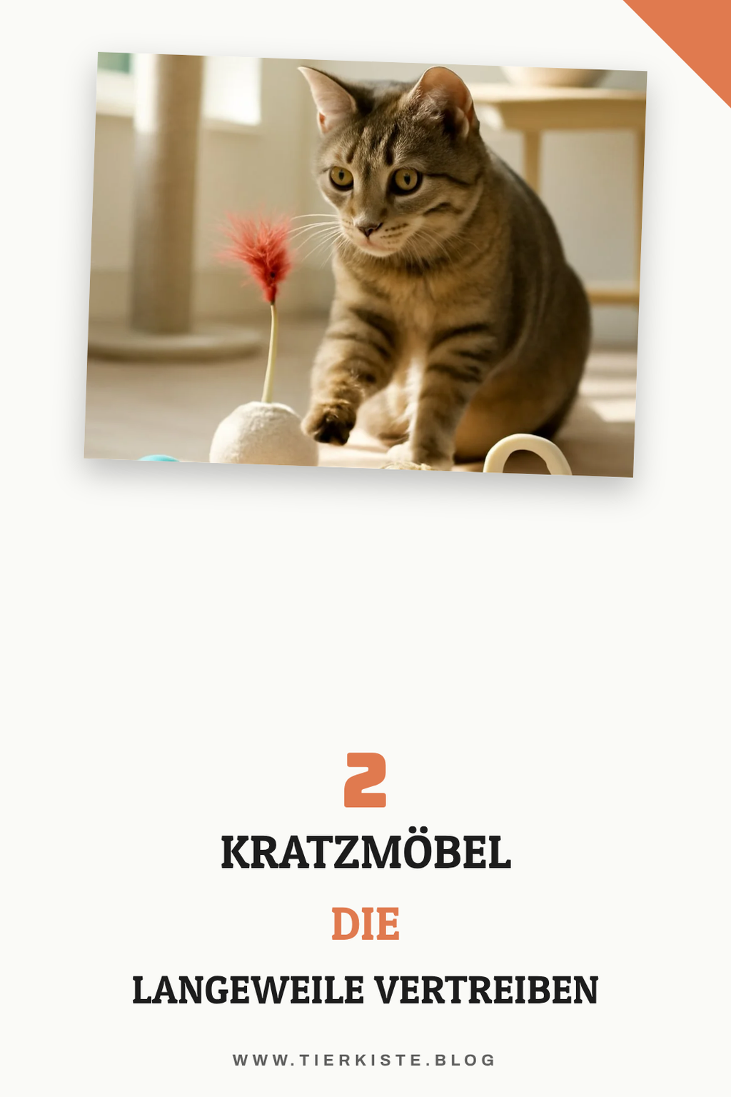 Diese 3 Kratzmöbel sind unverzichtbar