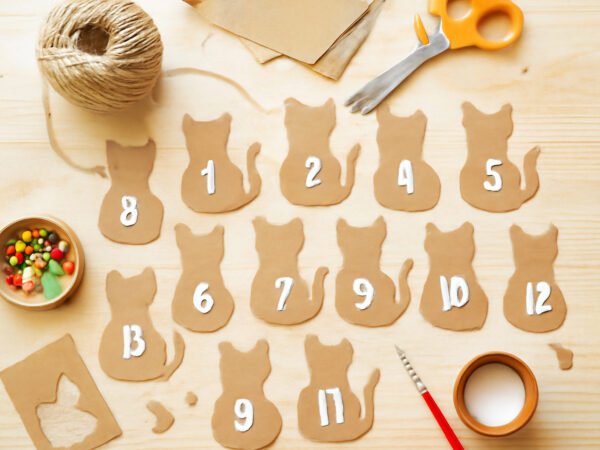 Adventskalender Katzen selber basteln — so geht es richtig