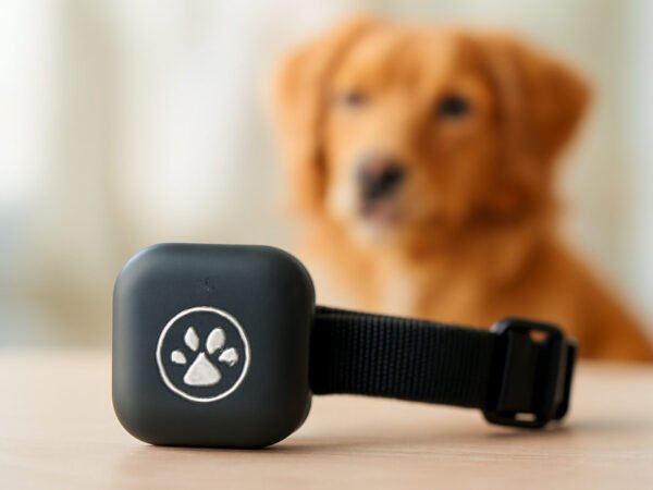 GPS Tracker Hund Black Friday in 6 Schritten