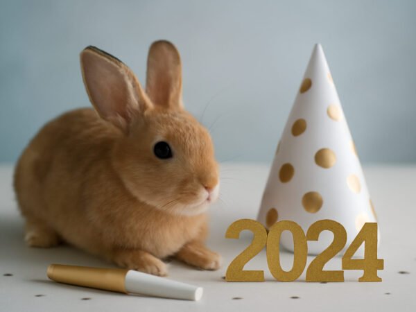 Kaninchen an Silvester Schützen: 13 Ideen zum Nachmachen