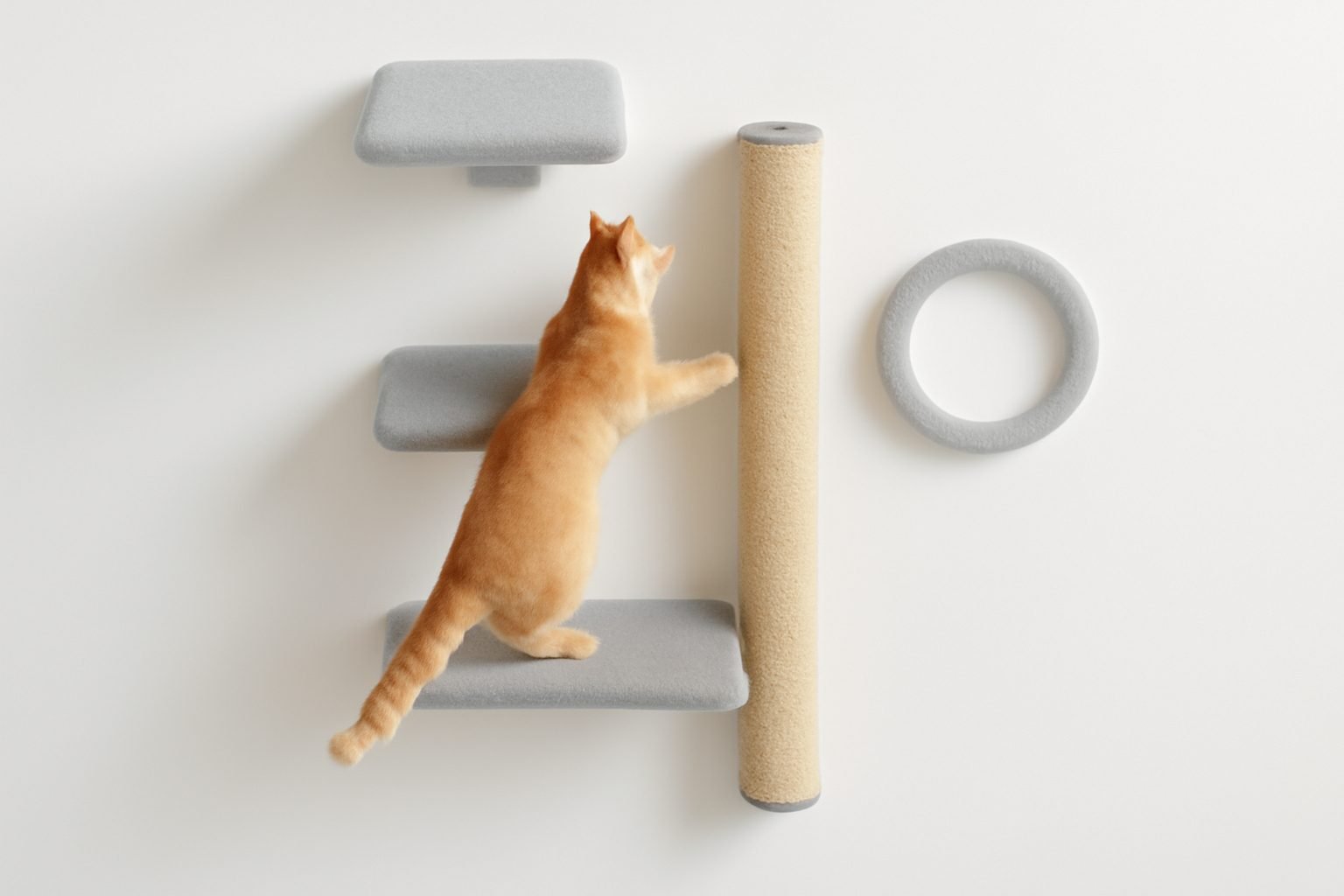 Katzenkletterwand selber bauen ohne Vorkenntnisse