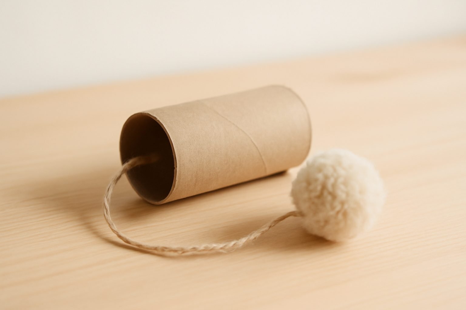 Katzenspielzeug aus Klopapierrolle basteln: Anleitung