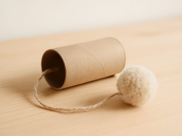 Katzenspielzeug aus Klopapierrolle basteln: Anleitung