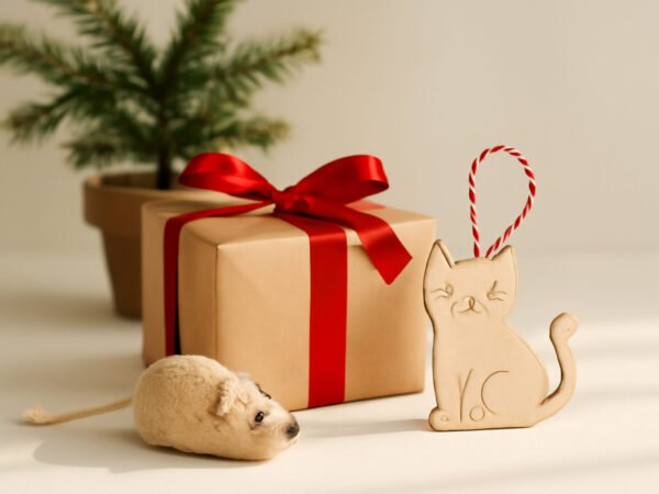 Schnelle Weihnachtsgeschenke für Katzen