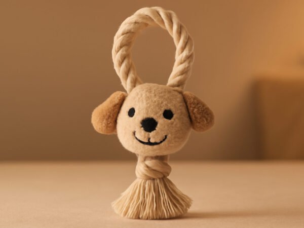 Weihnachten DIY Geschenke für Haustierbesitzer