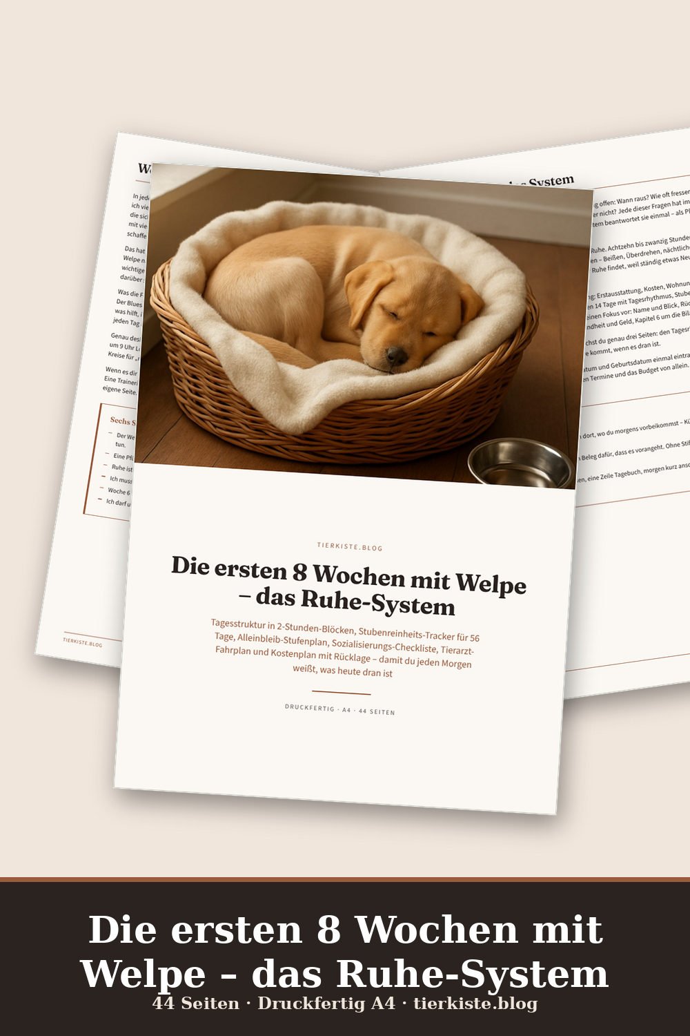 Die ersten 8 Wochen mit Welpe – das Ruhe-System – Vorschau Seite 1